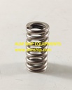 TANABE H-73/H-74 SAFETY VALVE SPRING LP
