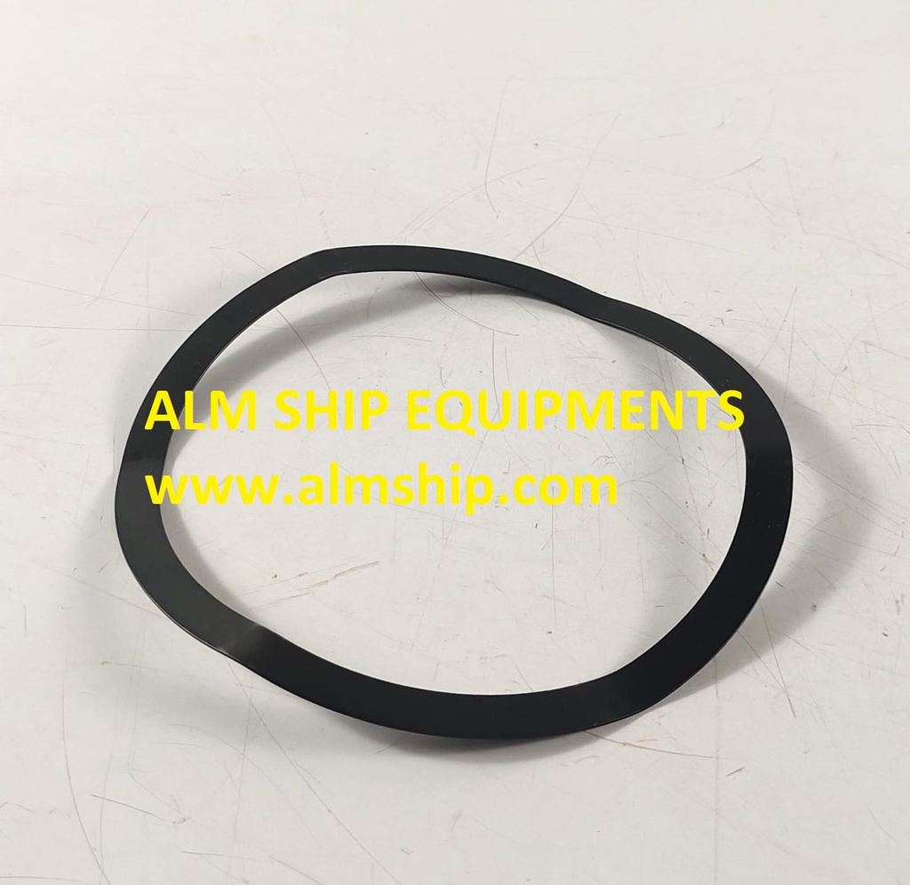 TANABE H-63/H-64 1ST STAGE VALVE SPRING DEL-2