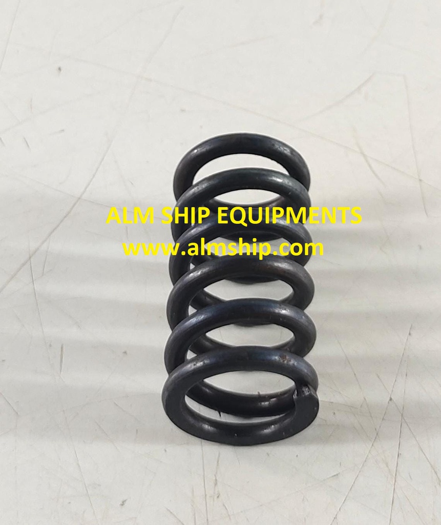 TANABE HC-275A LP VALVE SPRING SET