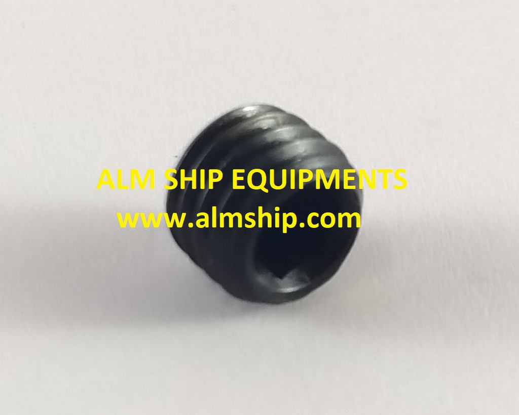 SCREW 65 302090.131-HSMW
