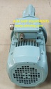 Screw Pump / Alfa Laval / LFM- 7.BBAP. 00054