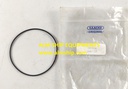 SAACKE O-RING