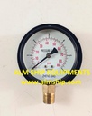TANABE HC-275A PRESSURE GAUGE ASSY