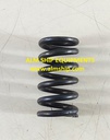 TANABE HC-275A LP VALVE SPRING SET