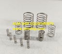 SUCTION GAS TCAR 22/16A SPRING SET