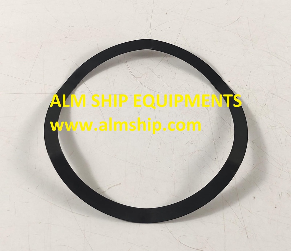 TANABE H-63/H-64 1ST STAGE VALVE SPRING DEL-2