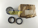 SHINKO/PILLAR MECHANICAL SEAL R391407/A7G-60