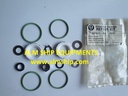 Worcester Controls Repair Kit
