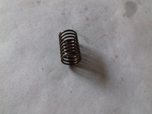SUCTION VALVE SPRING