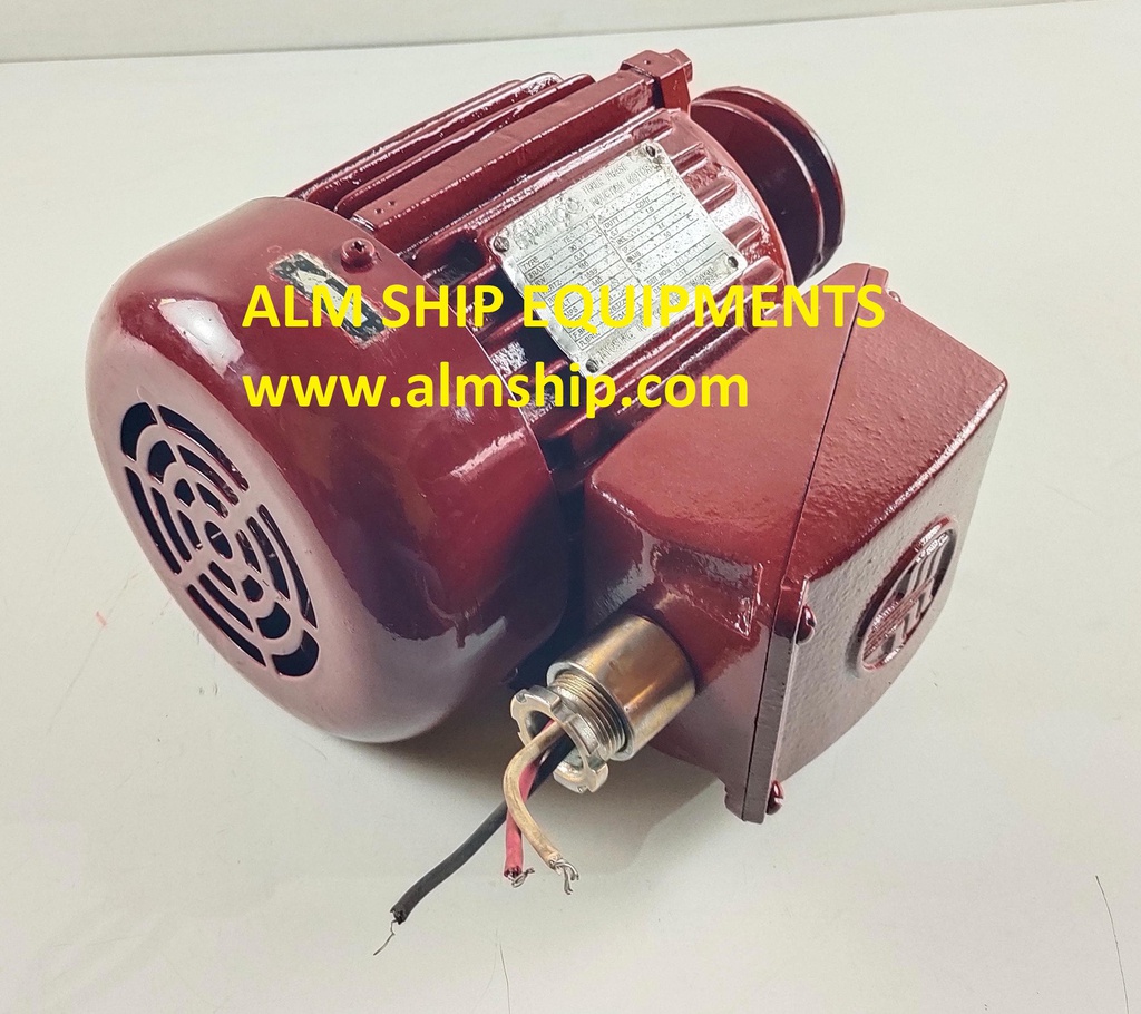 HICO THREE PHASE INDUCTION MOTOR-TE (BLOWER MOTOR)