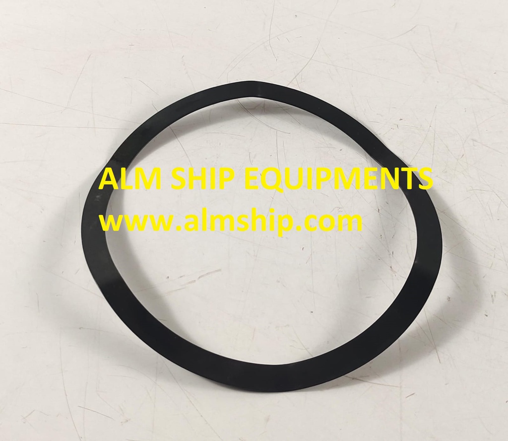 TANABE H-63/H-64 1ST STAGE VALVE SPRING DEL-2