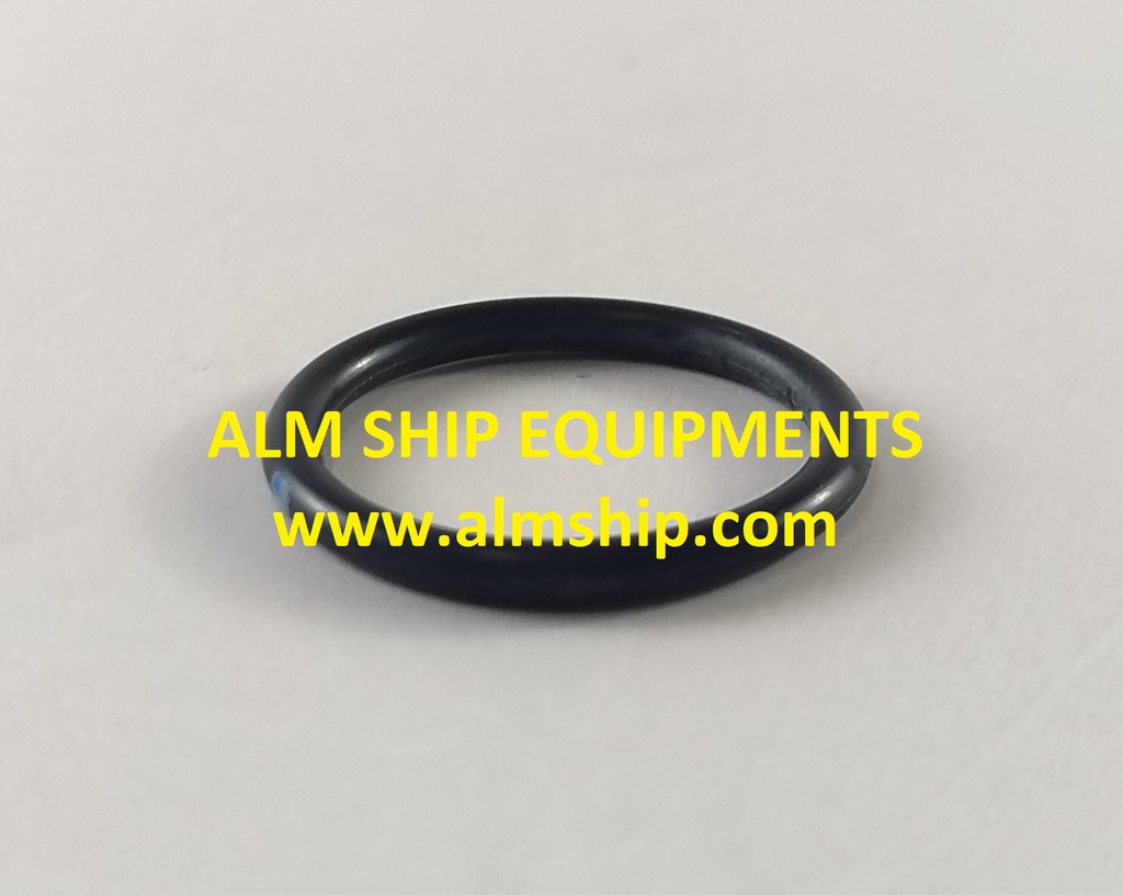 O-RING 68-11-00.055 P20