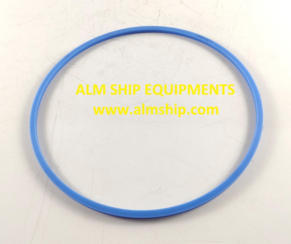 MITSUBISHI MAIN SEAL RING SJ20T