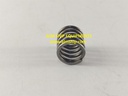 TWIN DISC SPRING P/N N050016051