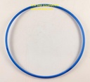 MAIN SEAL RING