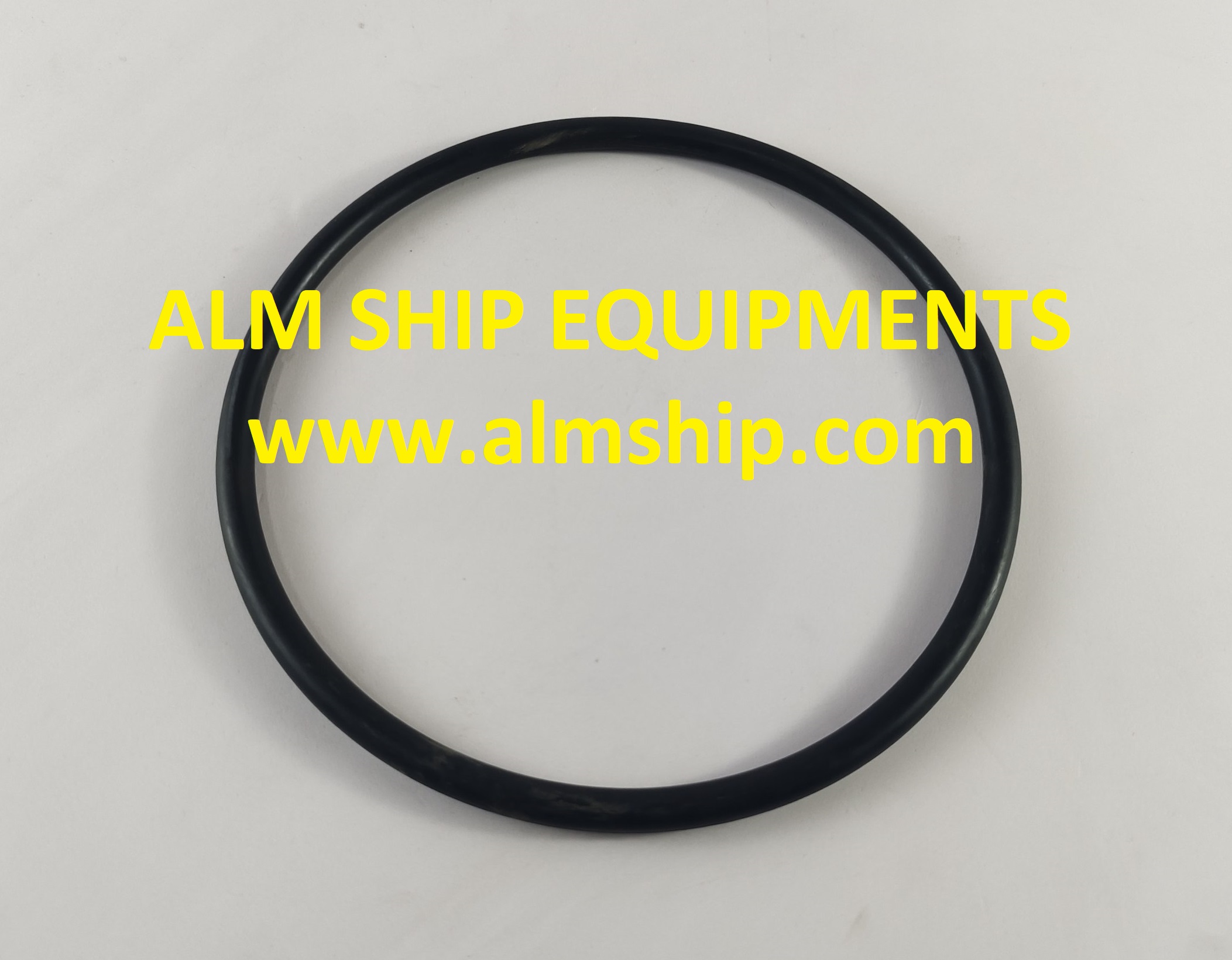 SHINKO O-RING 31 R080421001