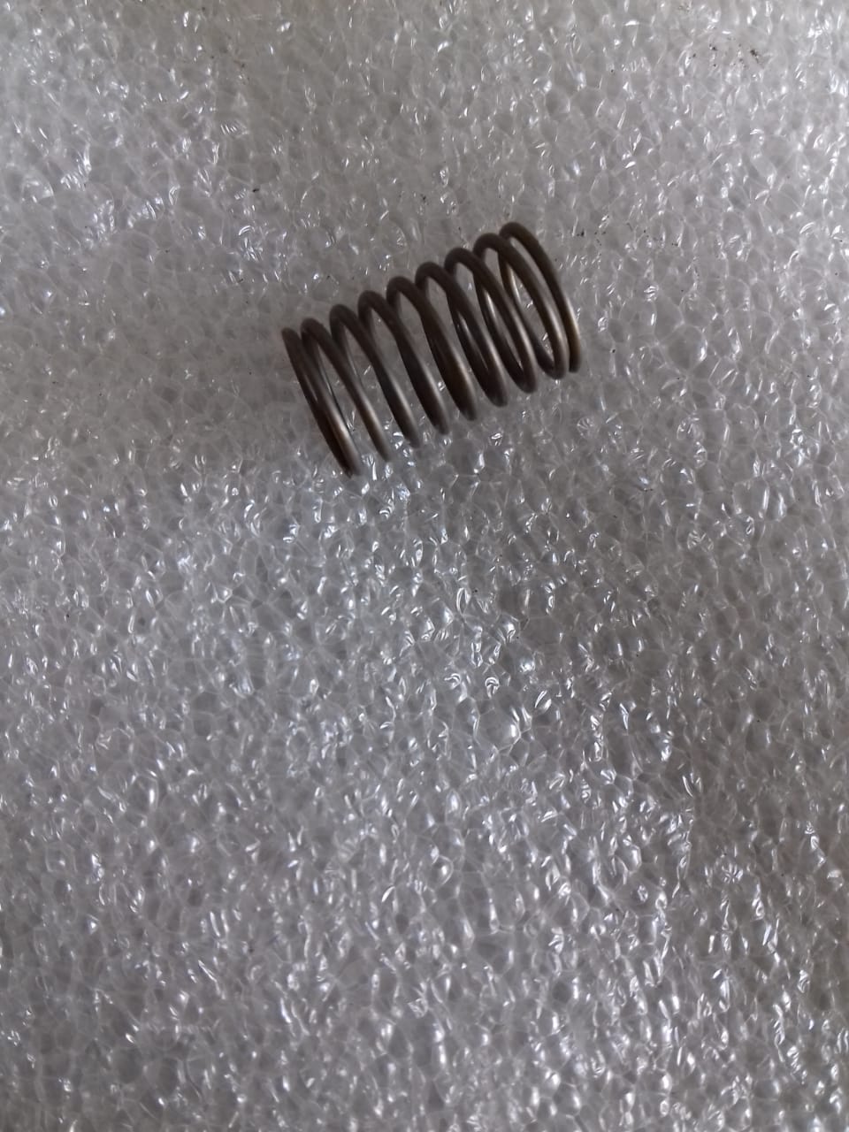 DELIVERY VALVE SPRING