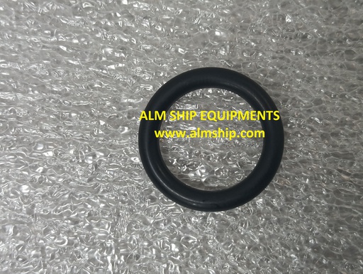 O Ring /6-N-21(A)L-DN